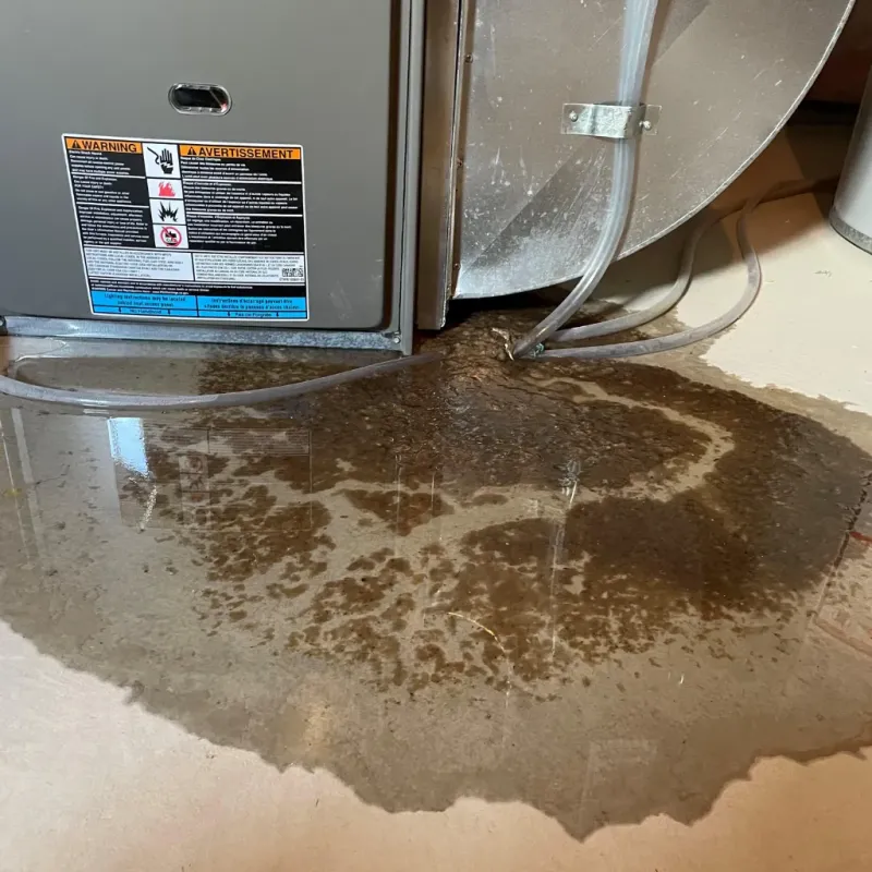 Appliance Leak Cleanup in Trenton, FL